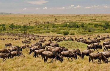 Lake Nakuru National Park