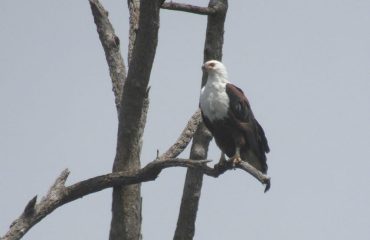 Lake Nakuru National Park