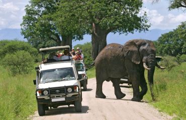 Lake Nakuru National Park