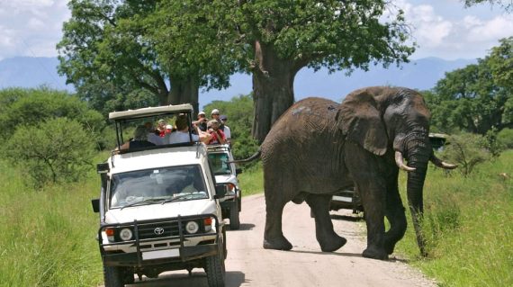 Lake Nakuru National Park