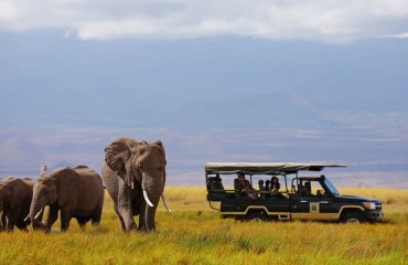Lake Nakuru National Park