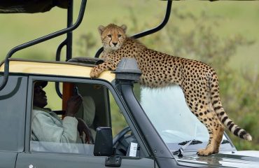 Lake Nakuru National Park