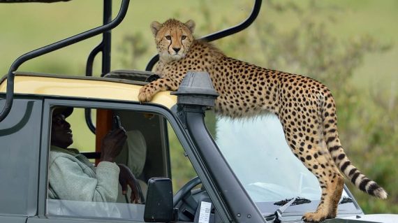Lake Nakuru National Park