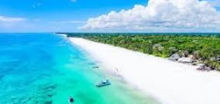Beach Safari