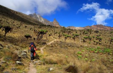 Mount Kenya