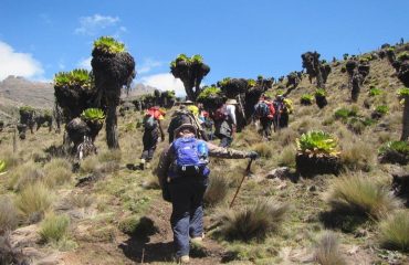 Mount Kenya