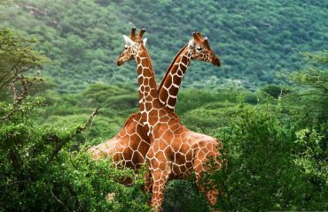 Mount Longonot