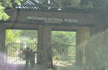 Maasai mara