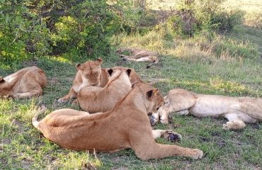 Big 5