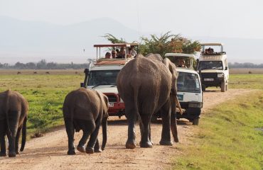 Big 5