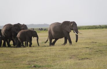 Big 5