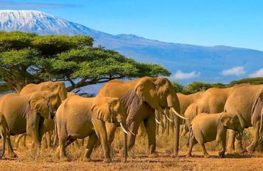 Big 5