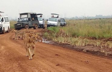 Nairobi National Park