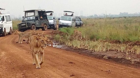 Nairobi National Park