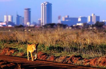 Nairobi National Park