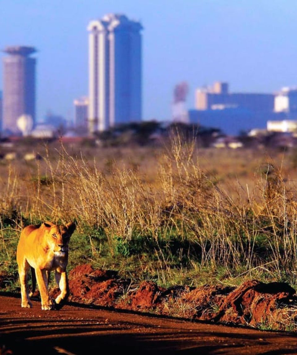 Nairobi National Park