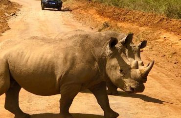 Ol Pejeta Conservancy