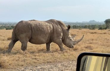 Ol Pejeta Conservancy