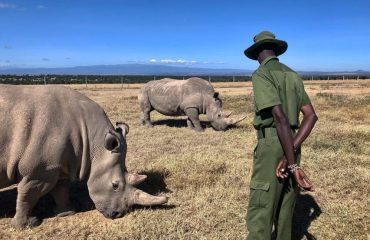 Ol Pejeta Conservancy