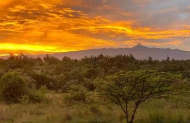 Ol Pejeta Conservancy