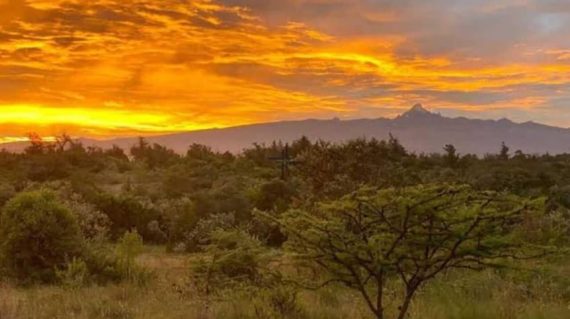 Ol Pejeta Conservancy