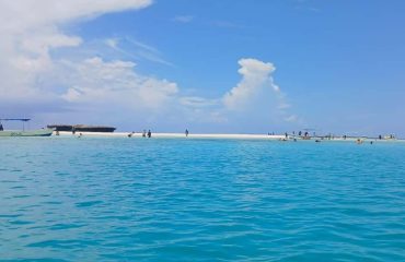 Dolphin Tour