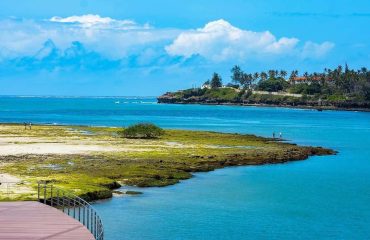 Wasini Island Dolphin and Snorkeling Tour