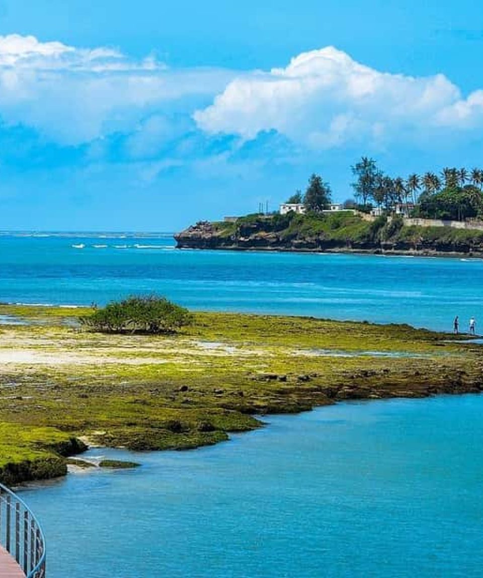 Wasini Island Dolphin and Snorkeling Tour